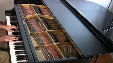 (BWV 863) Prelude and Fugue in G-sharp Minor, WTC I | Cory Hall, pianist-composer