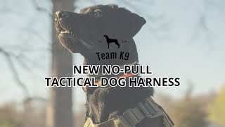 This Tactical Dog Harness Is A GAMECHANGER...