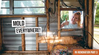 Vintage RV Renovation  MORE MOLD!  + Completely Gutting the Living Room! (Ep. 3)