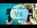 Which is Better, the GoPro HERO 7 White or GoPro HERO 5 Black?!?!