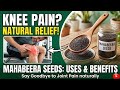 Mahabeera Seeds for Knee Pain Uses and Side effects 