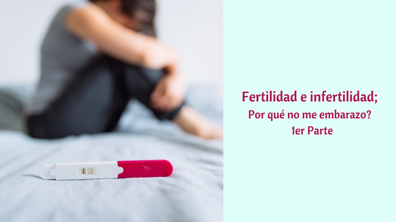 Que es la fertilidad