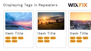How to Display Wix CMS Tags in Repeaters | Wix Fix Profile