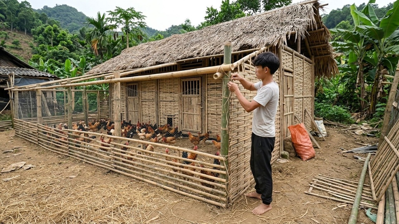 Building A Wooden Farm To Raise 1000+ Chickens And How To Pour A Large ...
