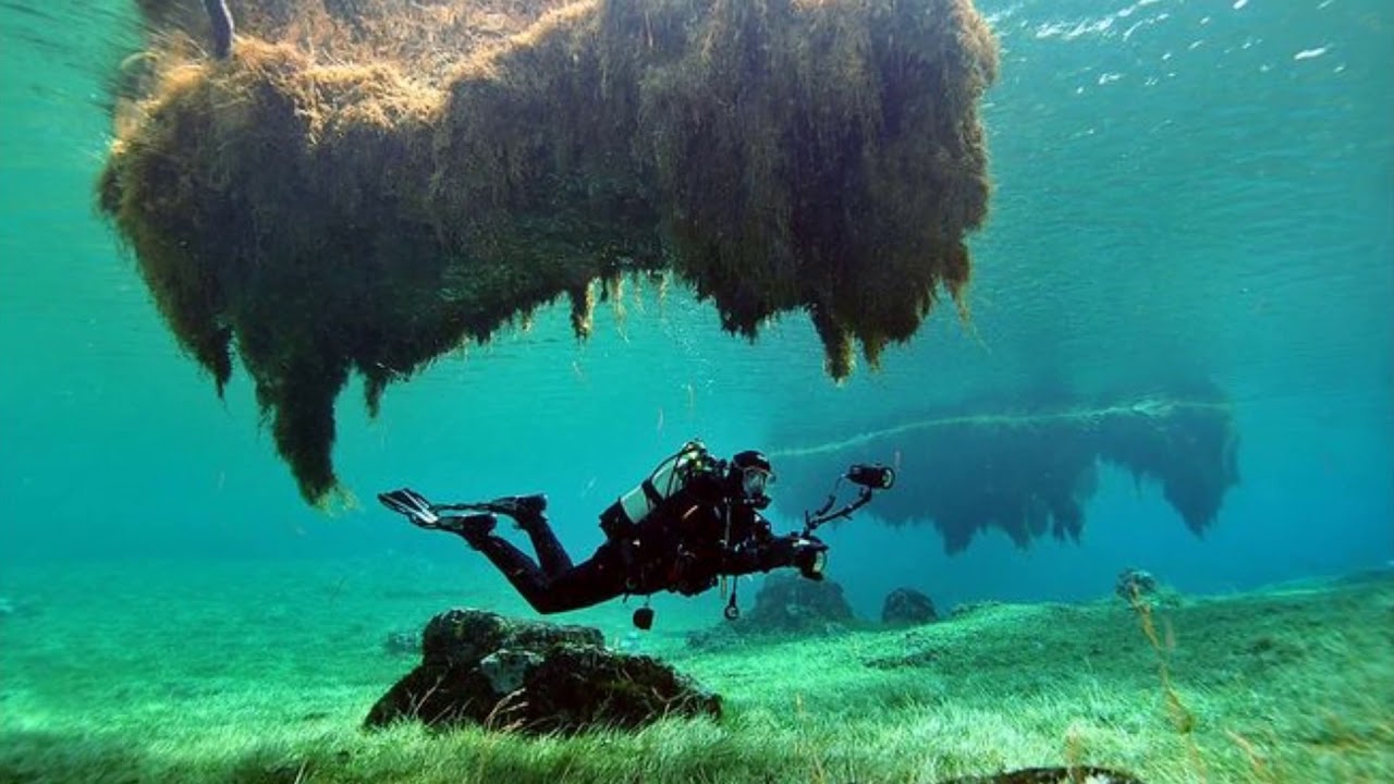 Парк под водой в австрии Парк под водой в австрии