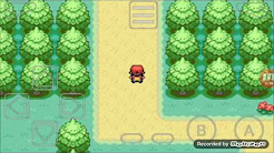 Pokemon Leaf Green/Fire Red Myboy Cheat Codes!!!