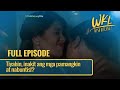 Tiyahin, inakit ang mga pamangkin at nabuntis!? (Full Episode) | Wish Ko Lang