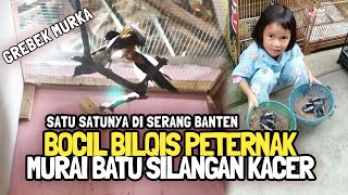 Grebek peternak MURAI BATU silangan KACER 😱 BOCIL INI SUKSES Ternak Burung MURKA di serang banten