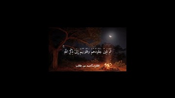 تلاوة خاشعة من سورة الزمر | القارئ أحمد بن طالب