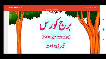 Bridge course std 3rd EVS day 5