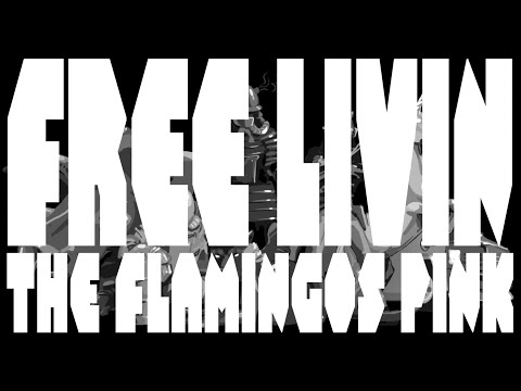 Free Livin - The Flamingos Pink