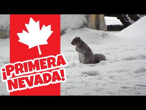 Nevando en Canadá