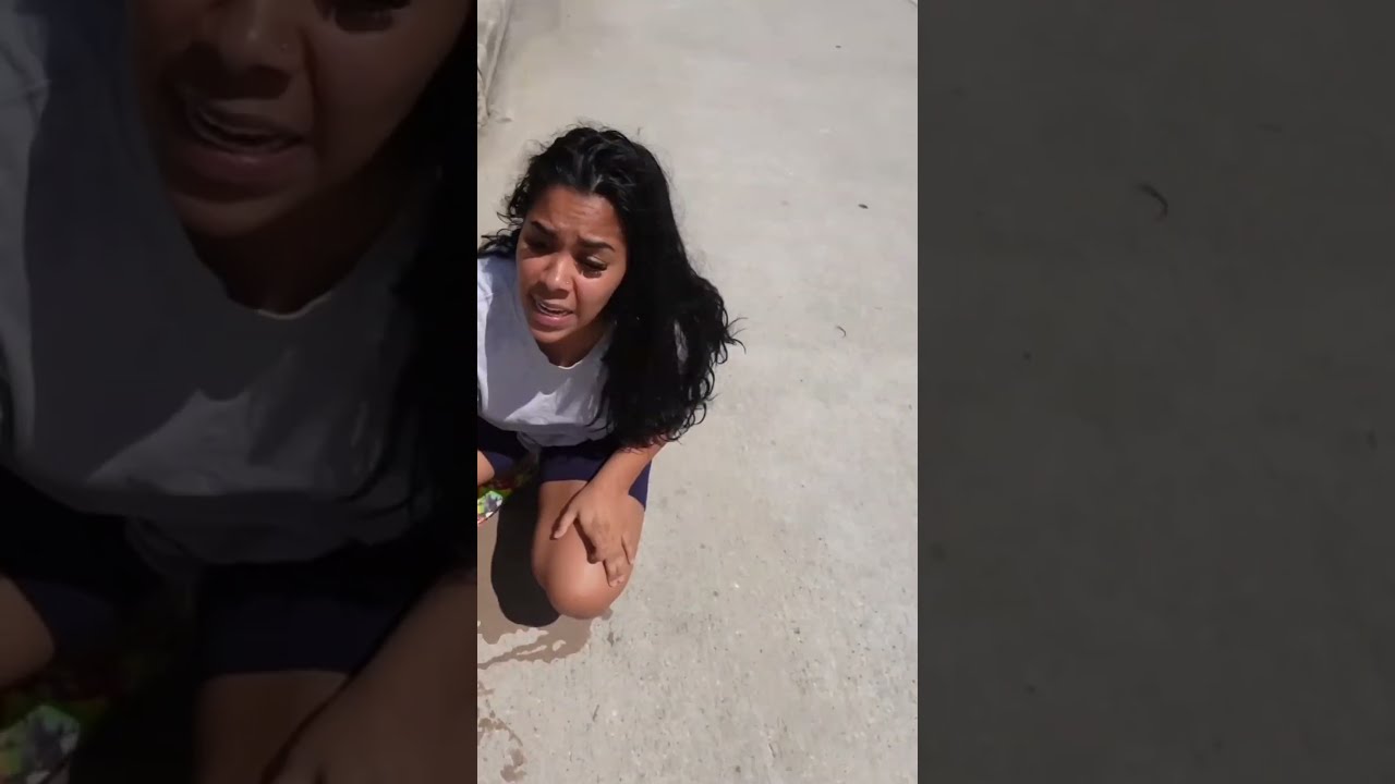 Son Tells Mom Dog Fell In The Sewer Then Does This Shorts