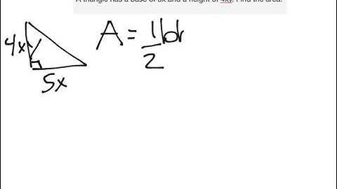 Monomial Word Problem