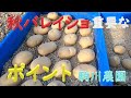 秋じゃがいも（バレイショ）植付準備 秋じゃが栽培ポイント　目指せ100品目　邑南町　駒川農園　21.8.8