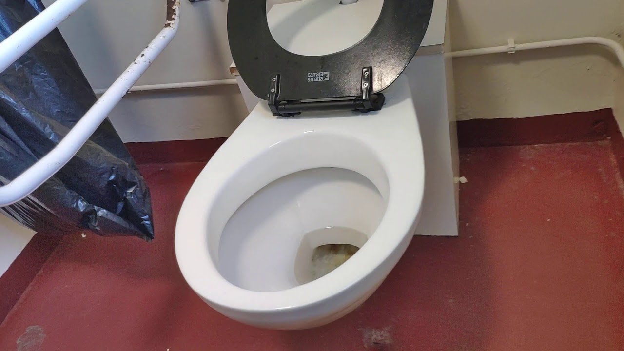 Disabled toilet Helen Gardens public toilets Eastbourne YouTube