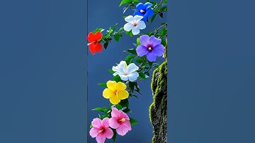 #سورة_الإخلاص #ikhlas #creativity #flowers #creativecreation #nature
