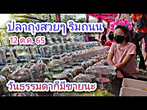 เดินเที่ยวตลาดปลาถุงริมถนน วันธรรมดา 12 ต.ค. 65 #NCO544