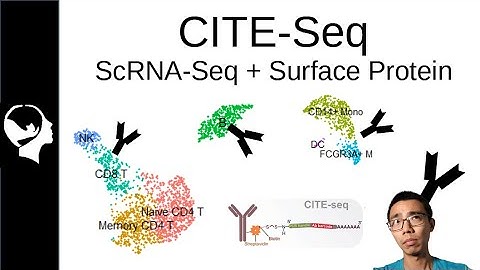 Multi-Model Analysis | CITE-Seq Introduction