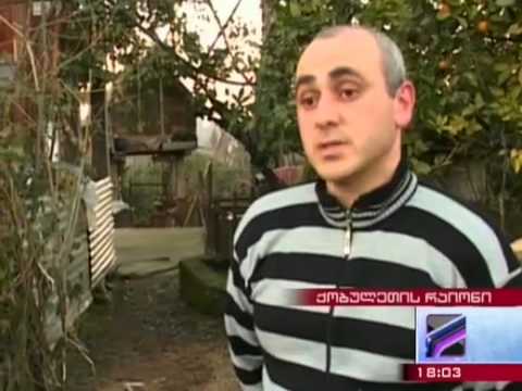 ქობულეთის რაიონში მგელმა მამაკაცი დაკბინა