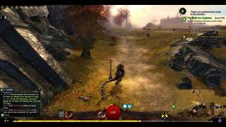 Guild Wars 2 Guide - The Breached Wall Hero point + Vista location