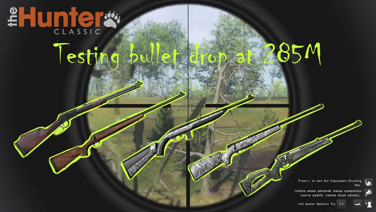 Testing out bullet drop at range in The hunter classic. .22 rifle vs .243 vs .223 vs .17 vs .300