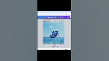 Canva Water Reflection Effect Tutorial | Full video available on channel #canva #canvadesign