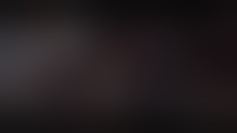 Infinite Lagrange : Privateer Fleets  attack Space Cities.