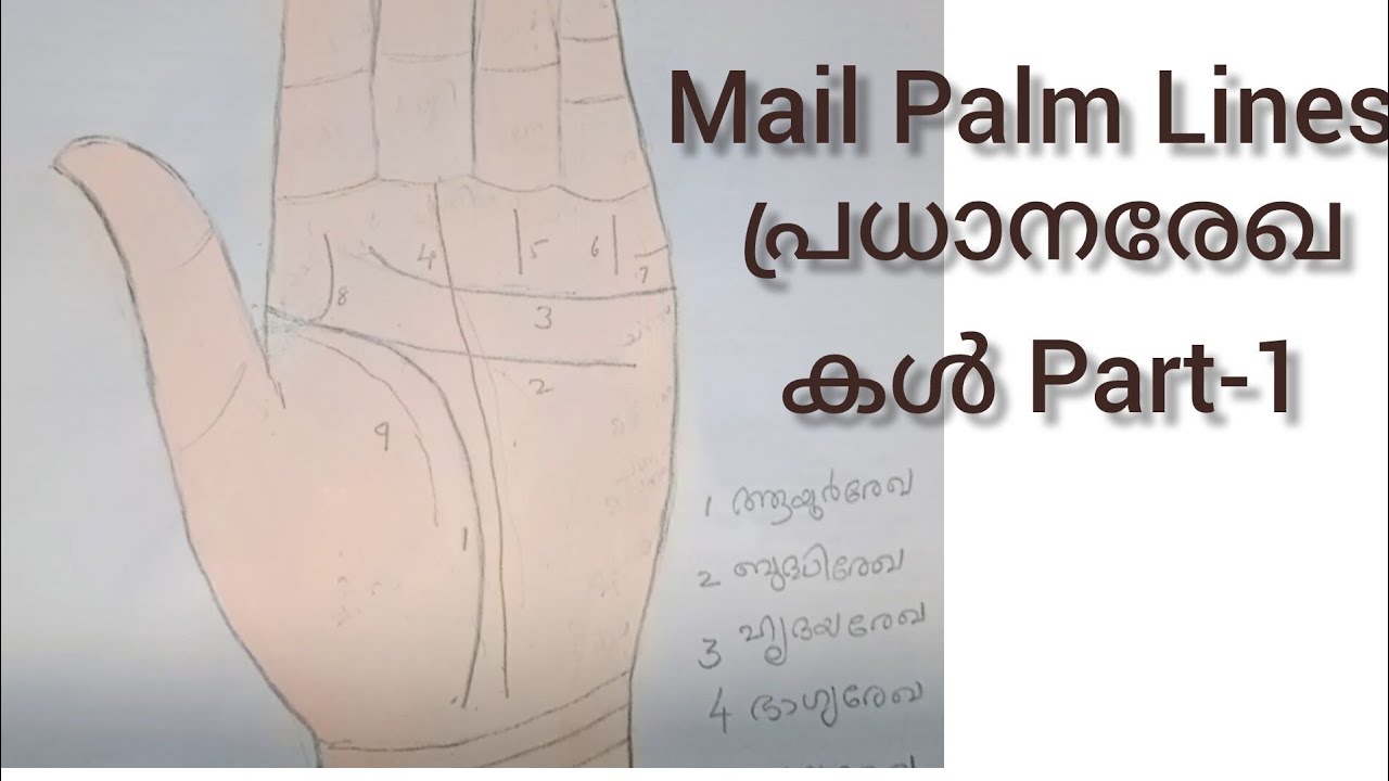 Main Lines കൈവെള്ളയിലെ രേഖകൾ നൽകും സൂചനകൾ.#trending #video #palmistry 