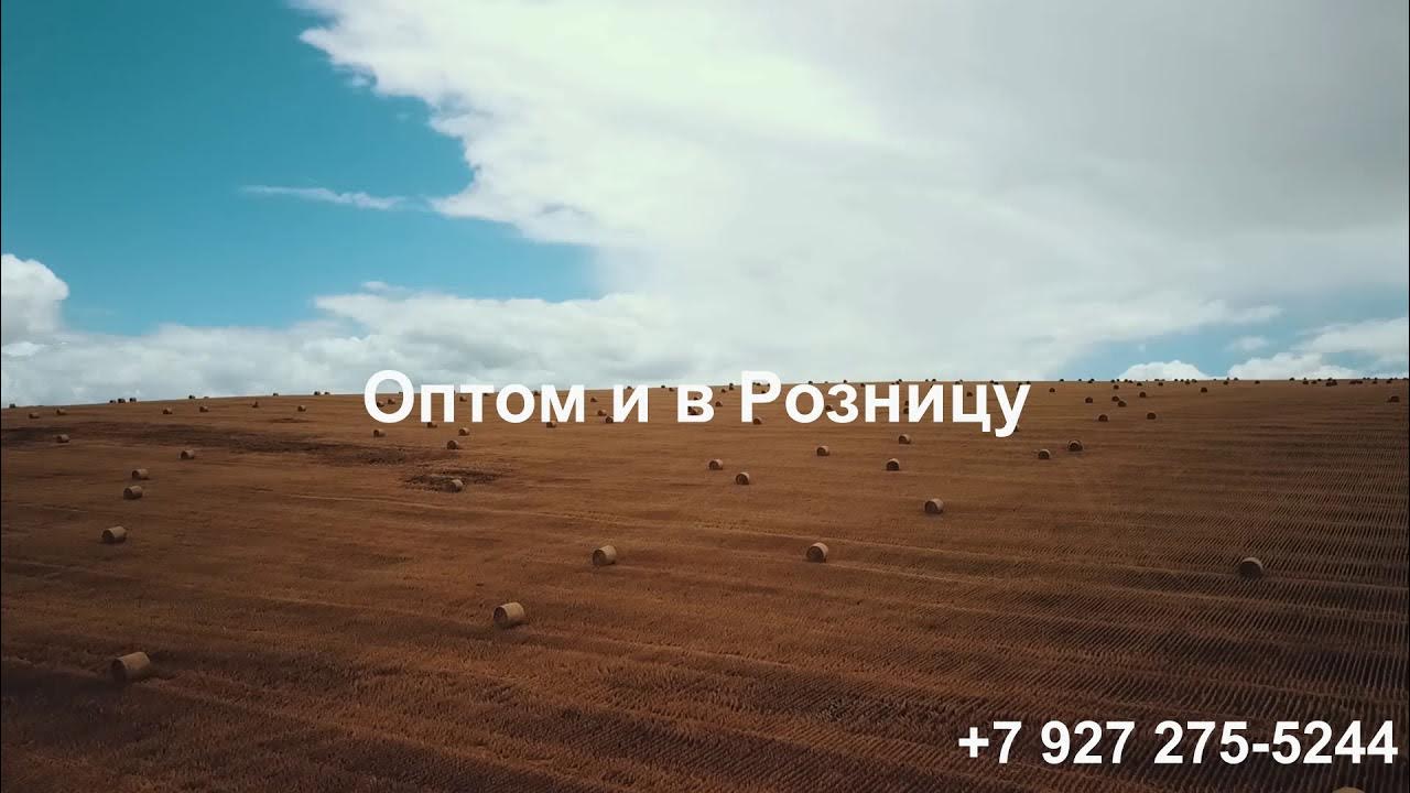 Семенная Станция предлагает семена многолетних трав . - YouTube