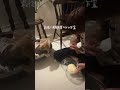 【作り置き生地】朝には生地完成のレシピ