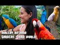 MALENY Botanic gardens &amp; BIRD WORLD | taking the scenic route | QLD day trips