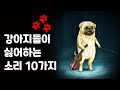 강아지가 반응하는 소리│강아지가 싫어하는 소리 【강아지가 좋아하는 소리】