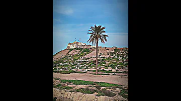 النايم بحضن المكابر ماله رده الرادود حمزة الدراجي Shorts Sofe Yt 