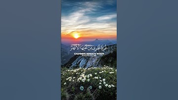 ✨Beautiful Quran Tilawah & Islamic Reminder | تلاوة عذبة مع تذكير إيماني