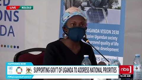 The role of young people in the UN Sustainable Development Cooperation Framework UNSDCF 2021 2025