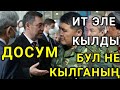 ЫЗАЛАНЫП КЕТТИ😳 МЫНДАЙДЫ КҮТКӨН ЭМЕС ТОЛУГУН КӨРГҮЛӨ