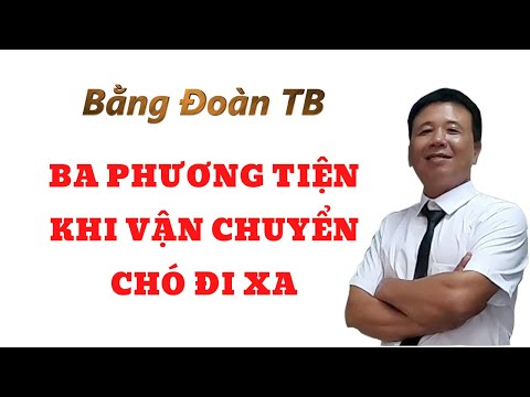 Video: Những Giấy Tờ Cần Thiết để Vận Chuyển Một Con Chó Trên Tàu