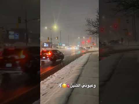 اغاني حب يرخصلك كل غالي أغاني حب بطيء اغاني عراقية ياغالي أغاني بطيء