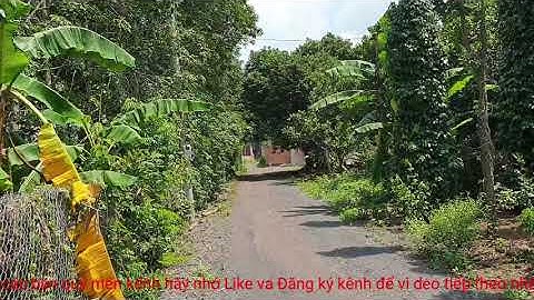 Bán đất vườn khu đông dân cư _ bà rịa vũng tàu giá  rẻ đẹp 400 triệu lh 0969879377