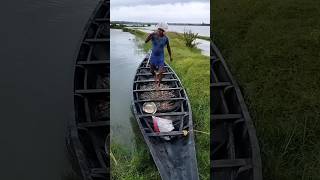 Fishing by Expert Fisherman।সুদক্ষ জেলে দিয়ে বাগদা ধরা দেখুন।fishing shrimp  fishing_video