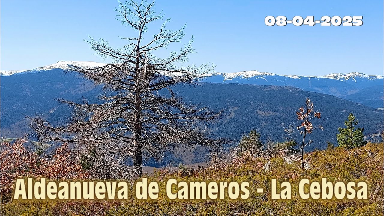 Aldeanueva de Cameros, El Viso, LaCebosa, Monteón, Aldeanueva