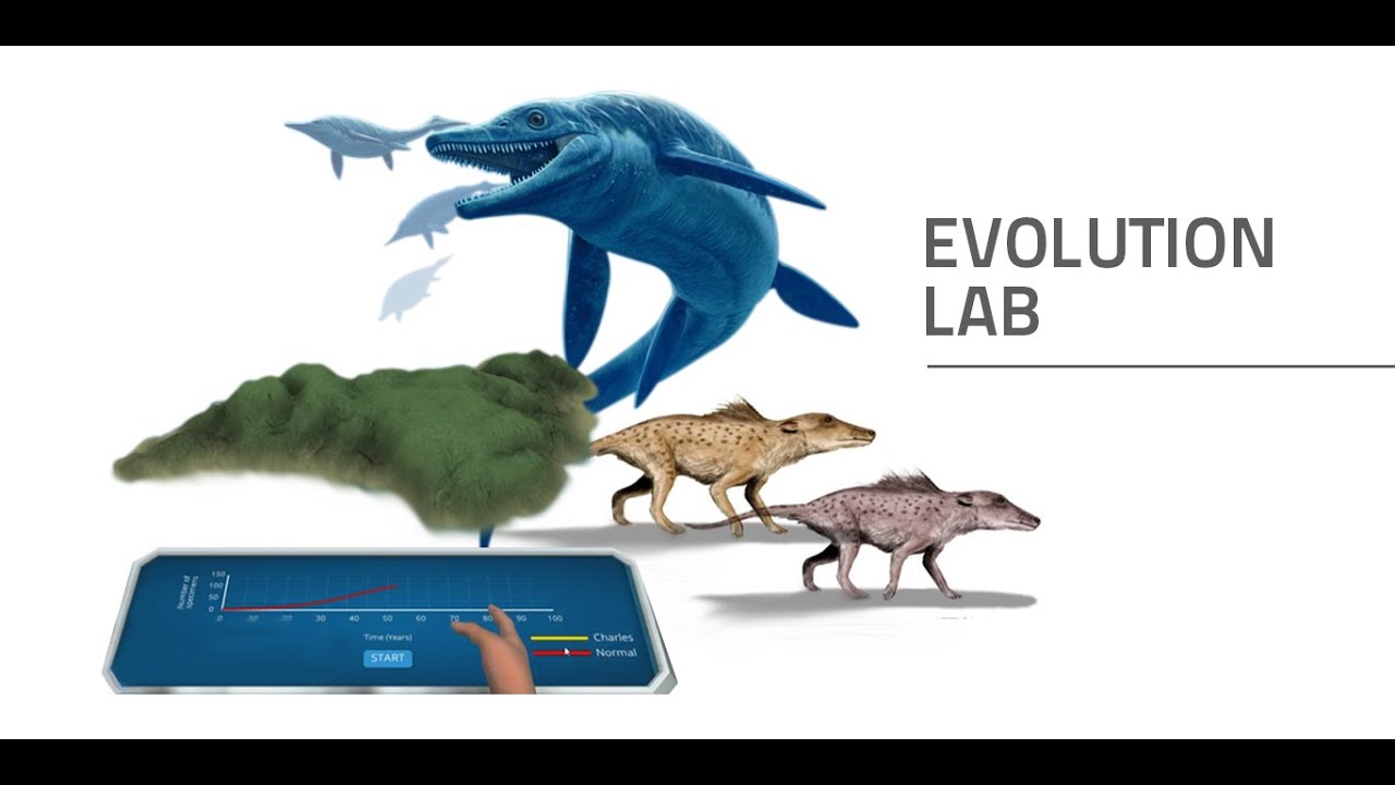 labster-virtual-lab-evolution-simulation-youtube