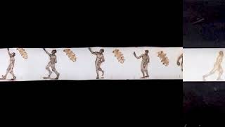 Drawing Of Dance W Water Bear Tardigrade