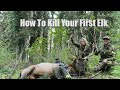 Tips For Shooting Your First Elk