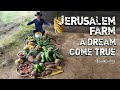 Jerusalem farm    a dream come true my organic garden