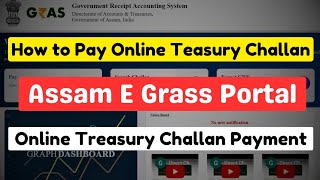 How to Pay Online Treasury Challan | How to Pay Online Treasury Challan in egras portal