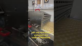 Skywin soft and hard biscuit production line in Egypt facto #biscuit #machine #factory