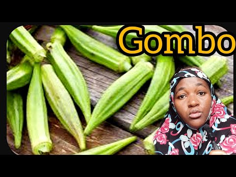 AKAMARO KA GOMBO OKRA UBURYO BUTANDUKANYE WAZITEGURAMO Irakuvura Indwara Nyinshii 