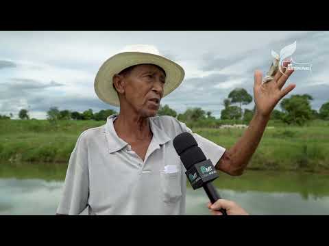 Diversificação na piscicultura como empreendimento familiar | MT Sustentável ep. 57 | Canal Rural